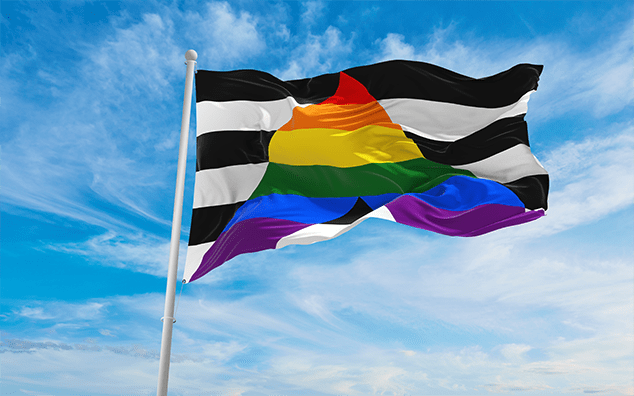 Straight Ally flag waving in the wind at cloudy sky.